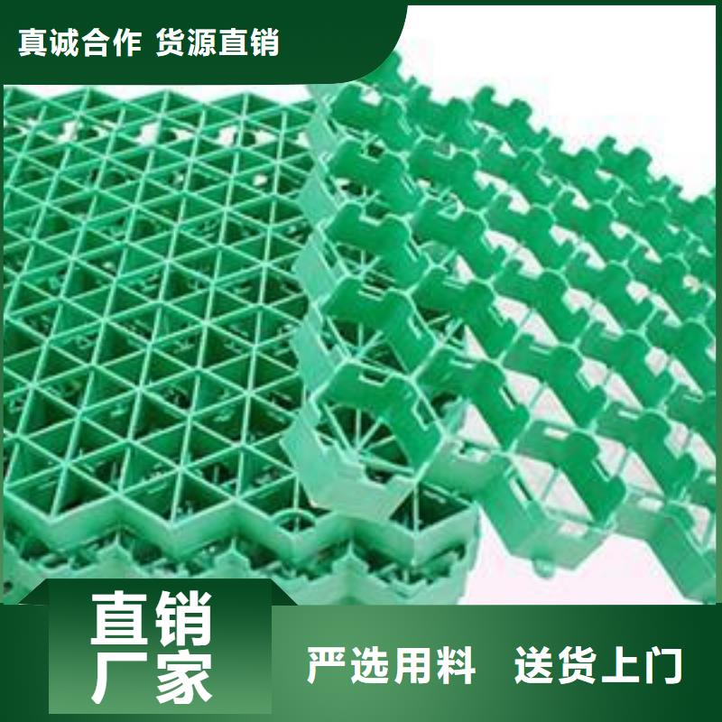 【植草格】土工格室全品类现货