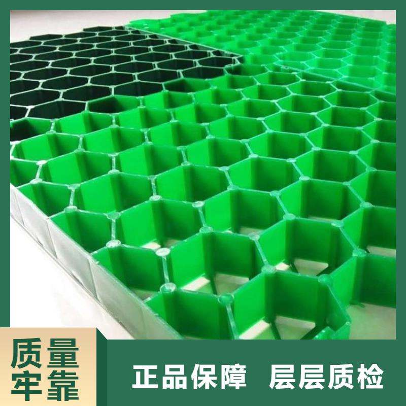 【植草格】土工滤网极速发货