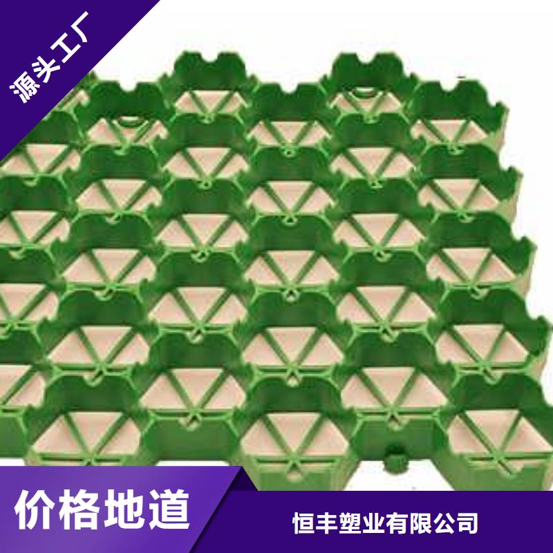 植草格塑料土工滤网主推产品
