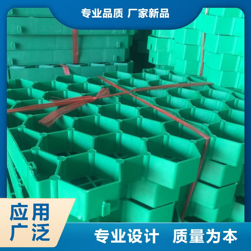 植草格塑料土工滤网主推产品