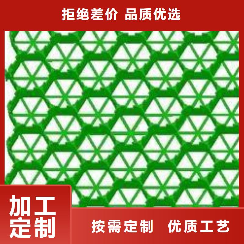 植草格塑料土工滤网主推产品