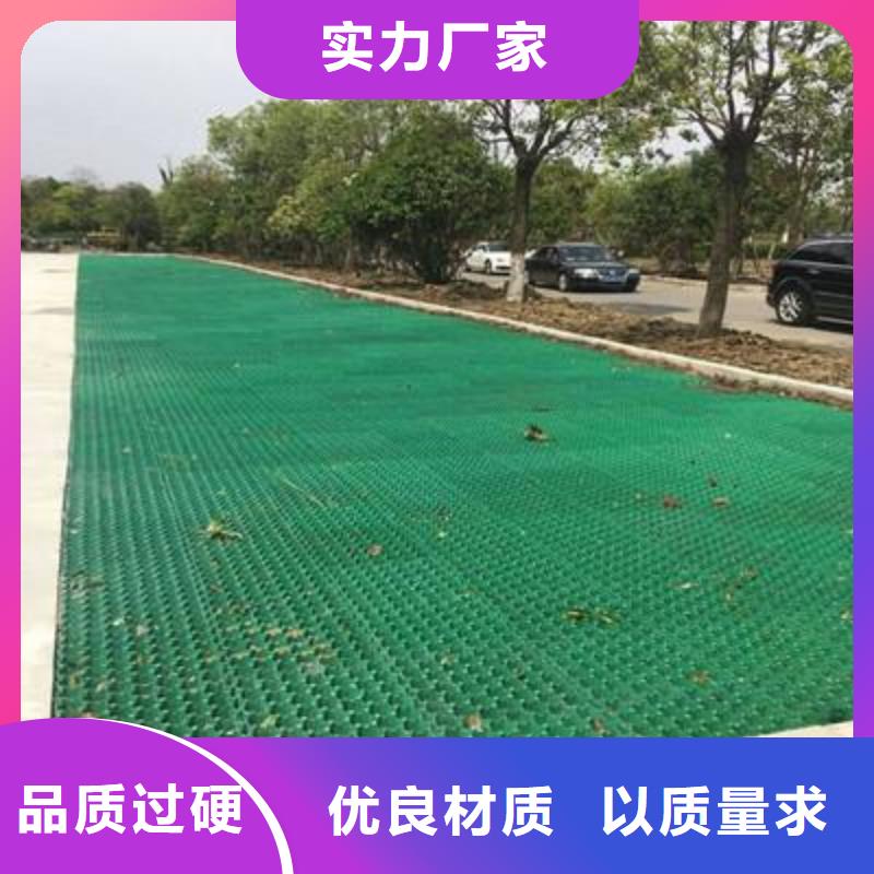 植草格塑料土工滤网主推产品