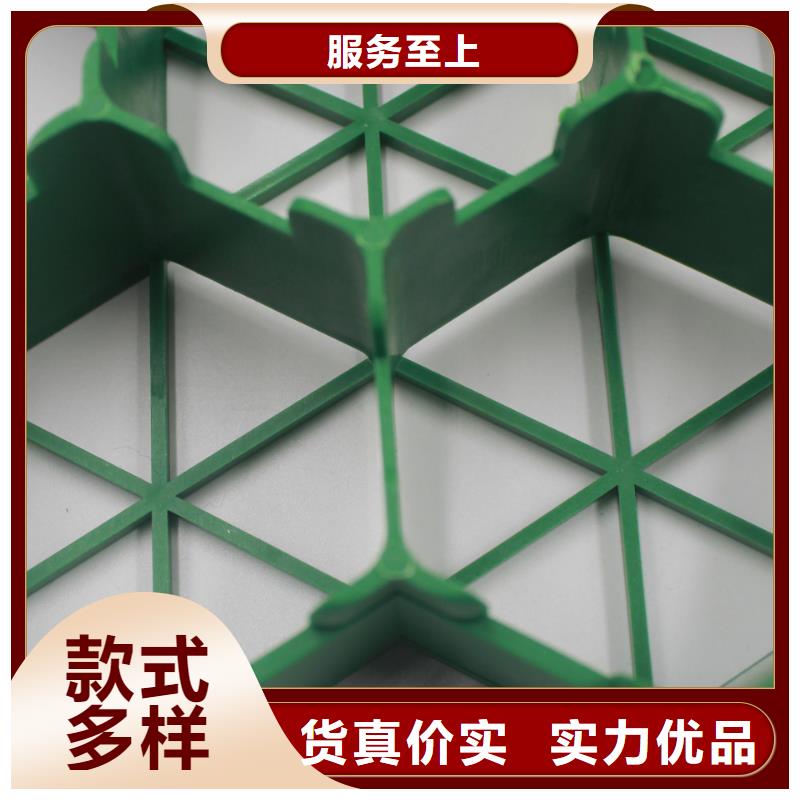 植草格塑料土工滤网主推产品