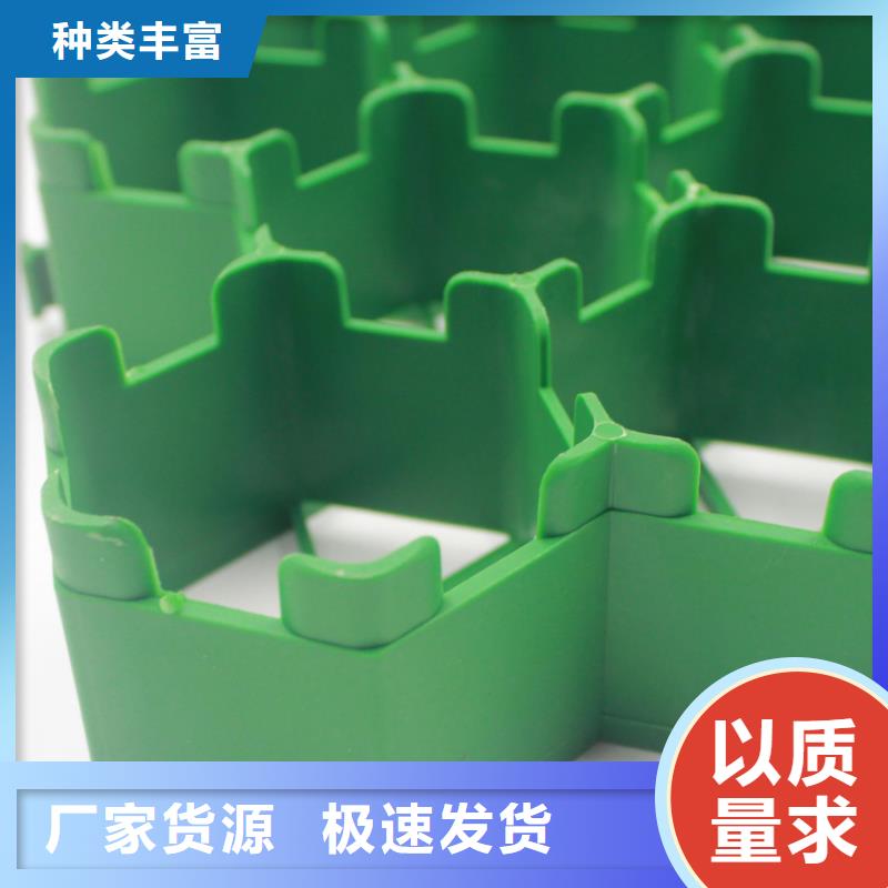 植草格塑料土工滤网主推产品