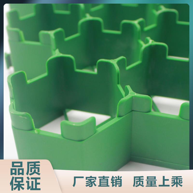 【植草格】土工滤网极速发货