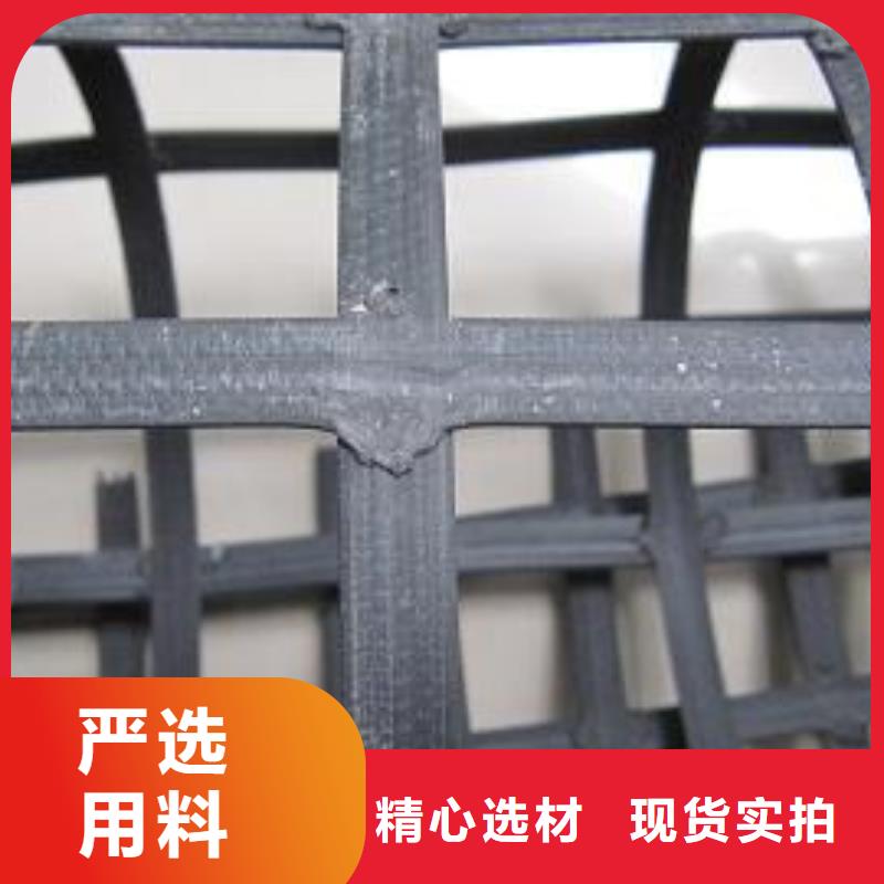 钢塑土工格栅_无纺布您想要的我们都有