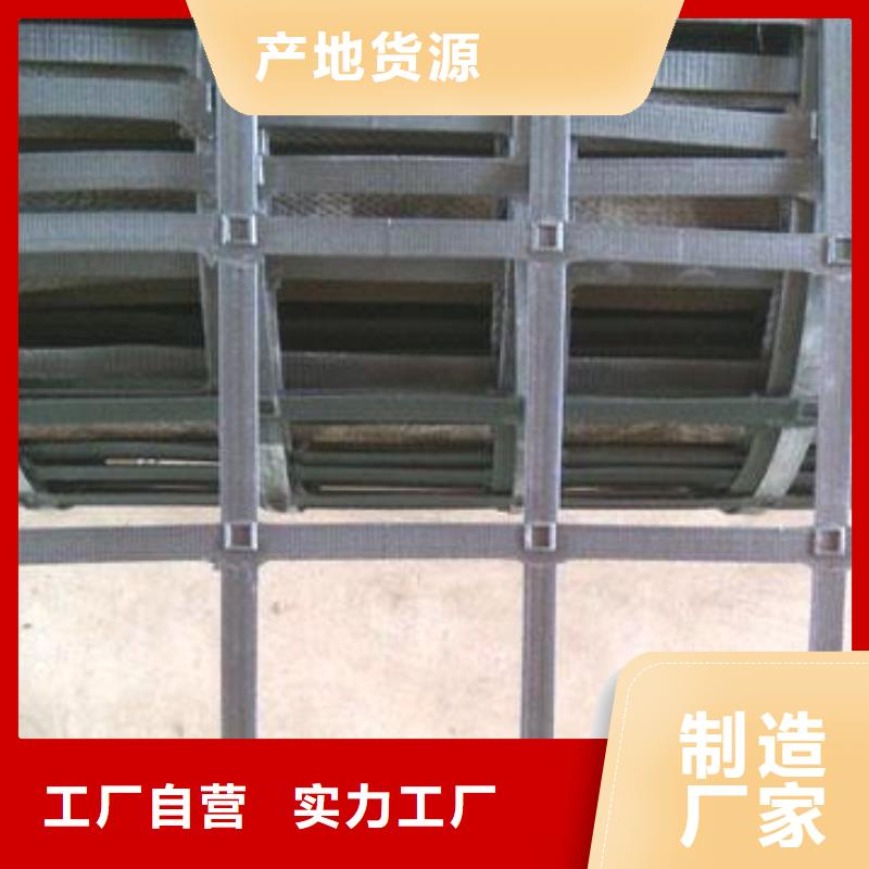 钢塑双向土工格栅多规格可定制