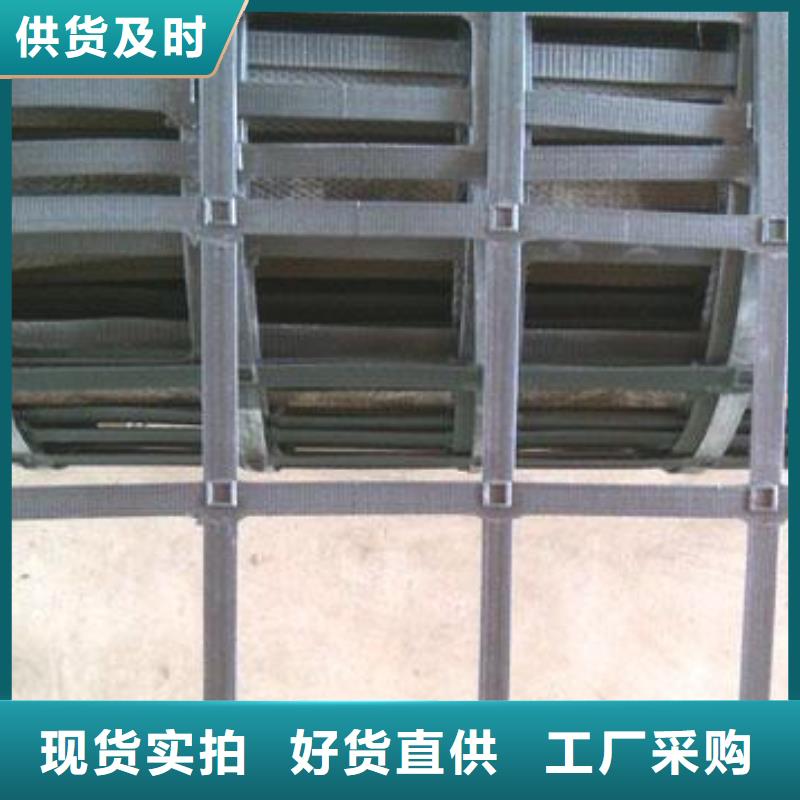 钢塑复合土工格栅规格型号齐全