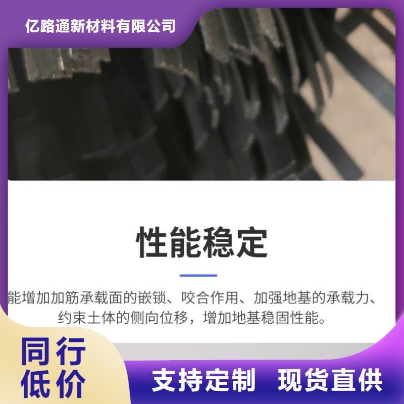 钢塑土工格栅【工程布】加工定制