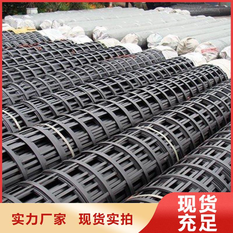 钢塑双向土工格栅厂家直供
