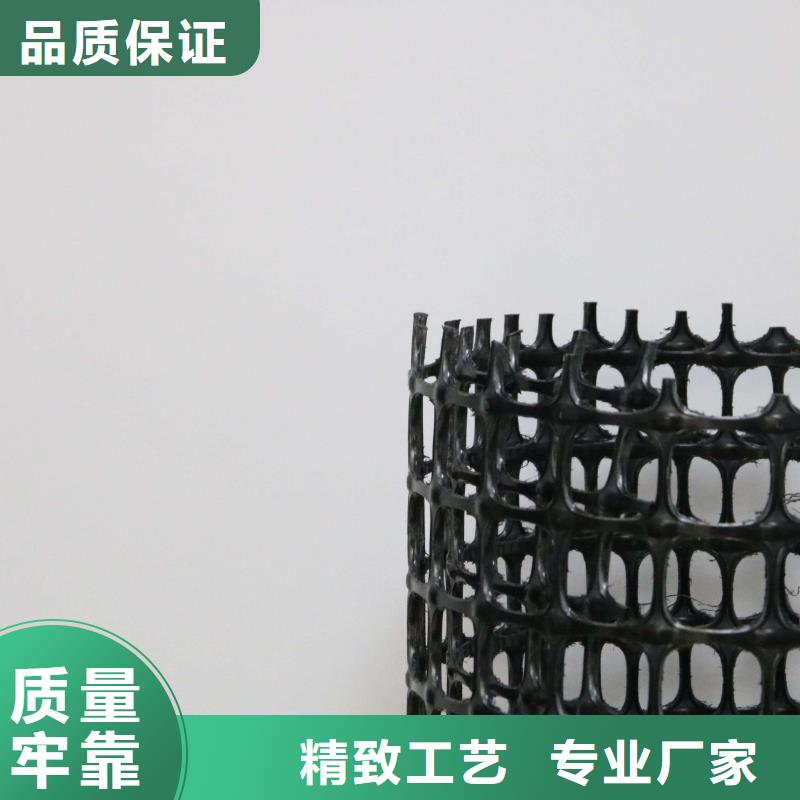 【塑料土工格栅】复合土工膜欢迎新老客户垂询