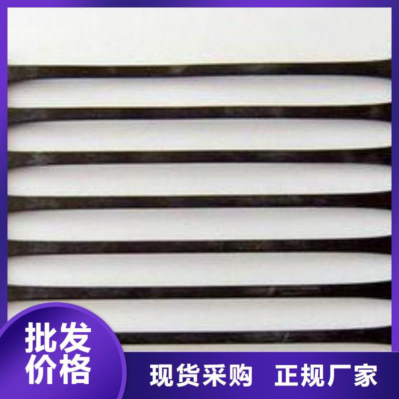 塑料土工格栅_双向土工格栅优质原料
