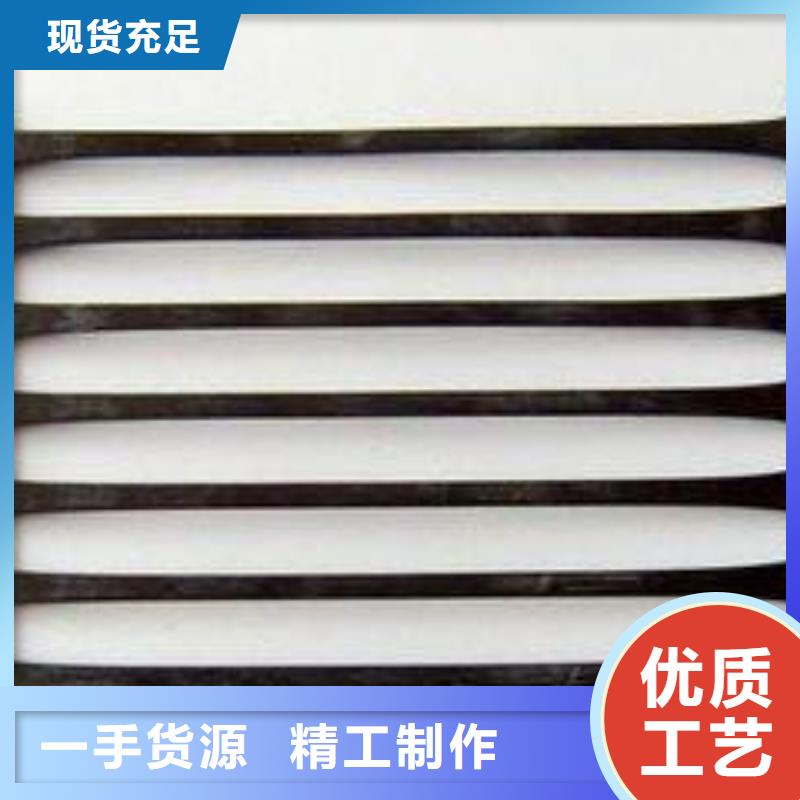 【塑料土工格栅】,涤纶土工格栅N年专注