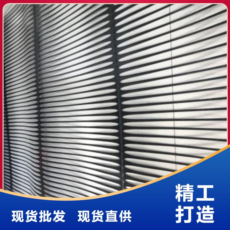 塑料土工格栅护坡土工网低价货源