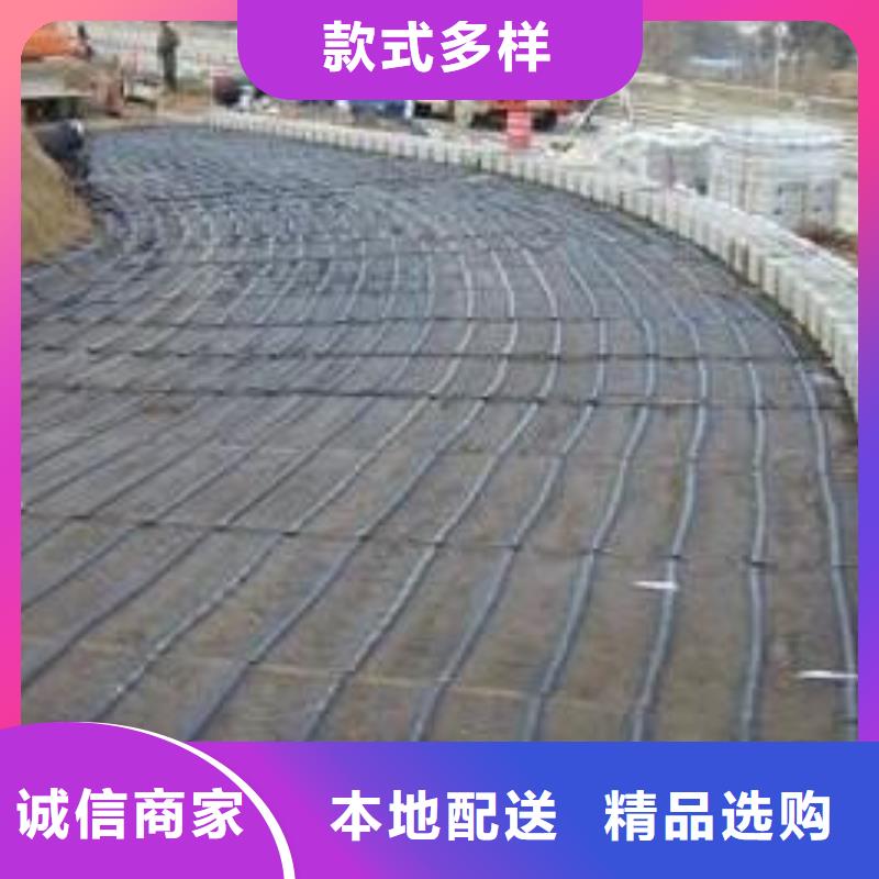 玻璃纤维土工格栅钢塑土工格栅海量现货