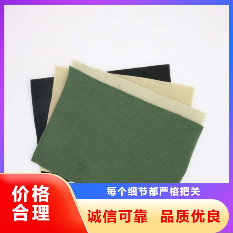 土工布【三维土工网垫】专业的生产厂家