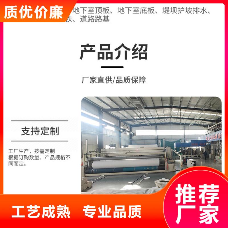 土工布垃圾填埋场材料产地工厂