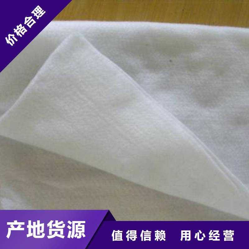 土工布钢塑土工格栅工厂批发