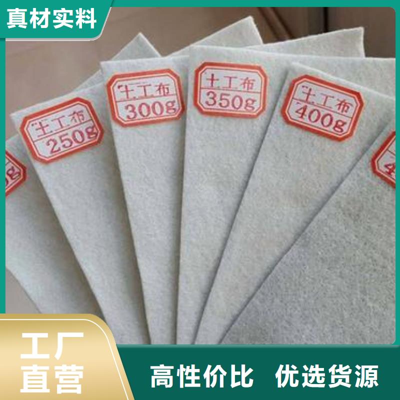 土工布凸结点钢塑土工格栅匠心打造