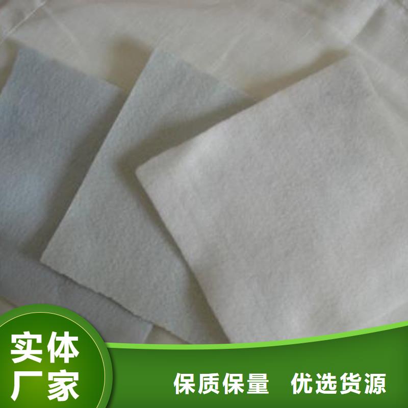 土工布【三维土工网垫】专业的生产厂家