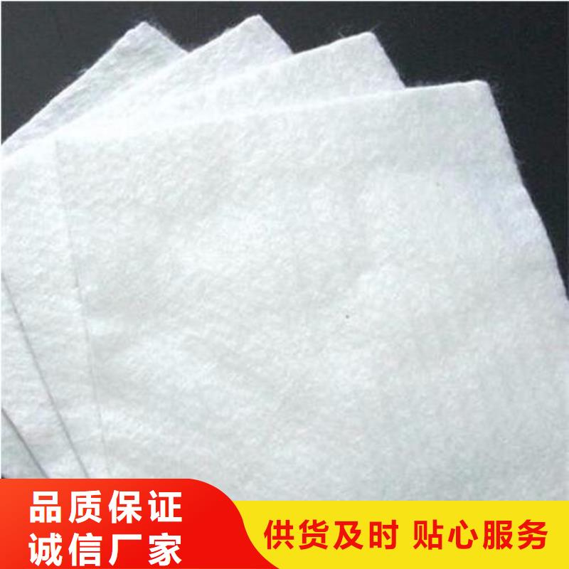 黑色土工布报价
