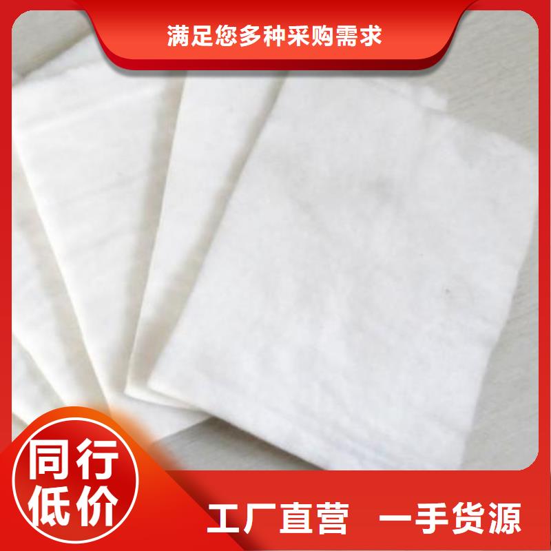 土工布钢塑土工格栅工厂批发