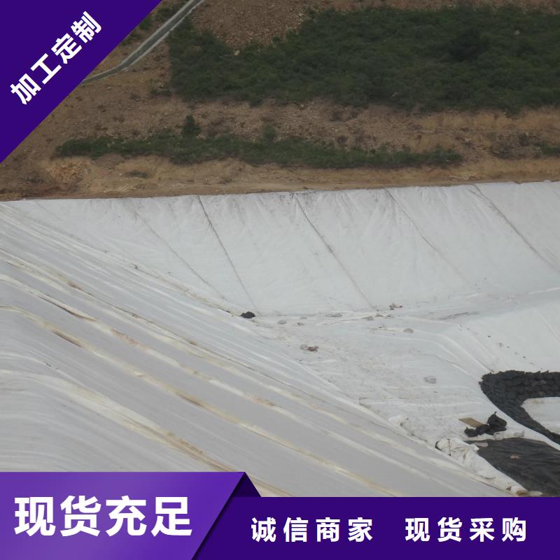 土工布单向塑料土工格栅厂家采购