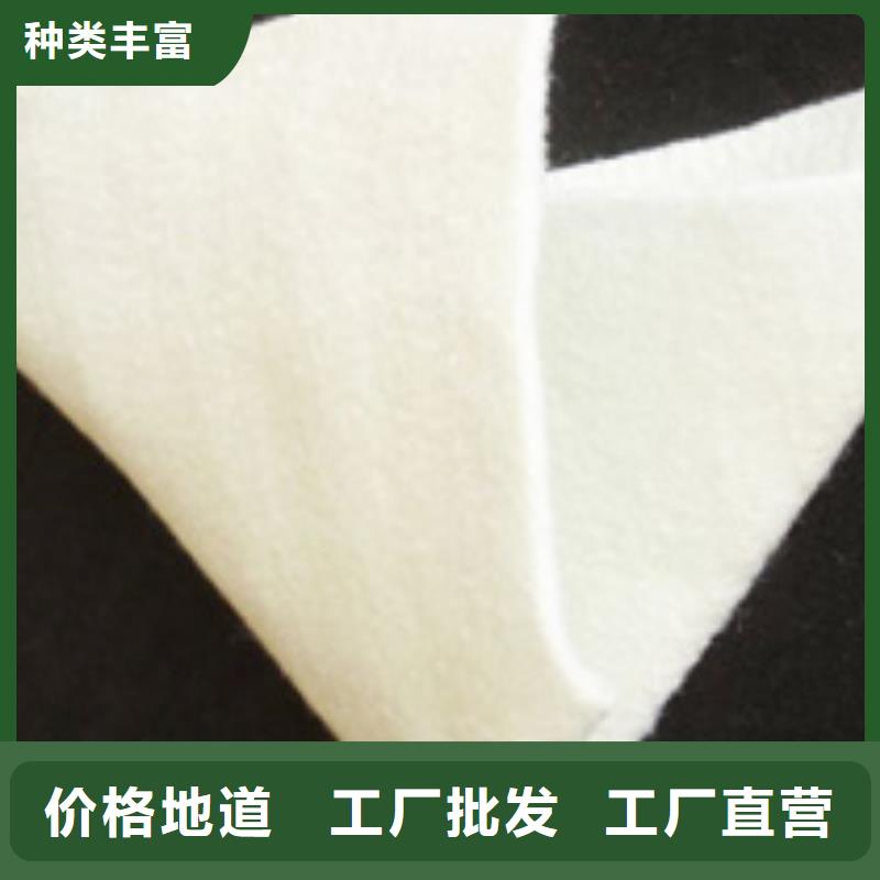 土工布单向塑料土工格栅厂家采购
