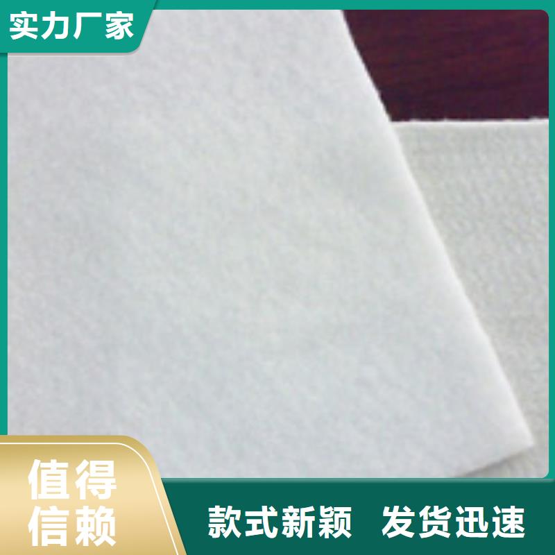 土工布钢塑土工格栅工厂批发