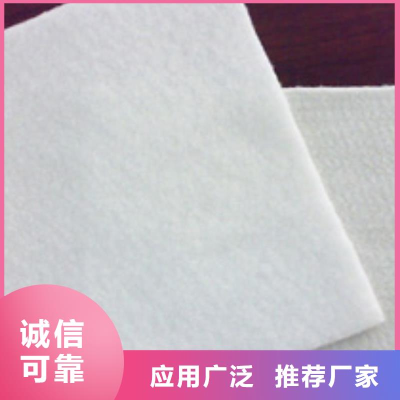 土工布单向塑料土工格栅厂家采购