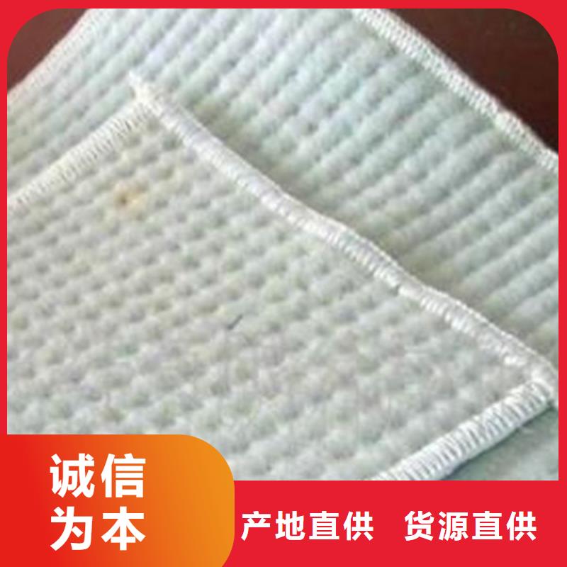 膨润土防水毯透水土工布厂家自营