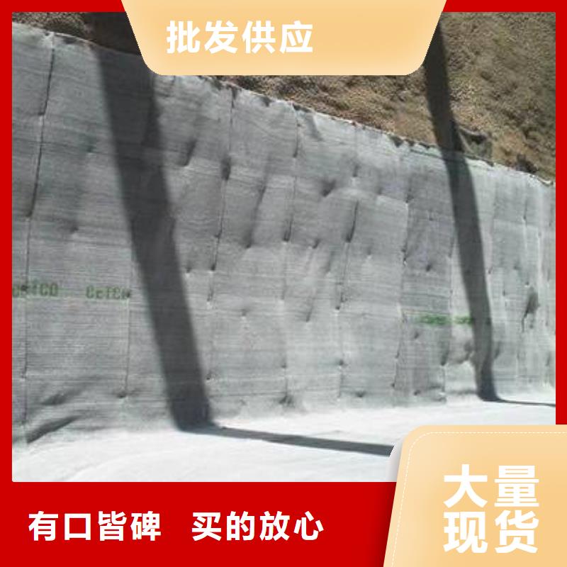 垃圾填埋场用防水毯价格/报价