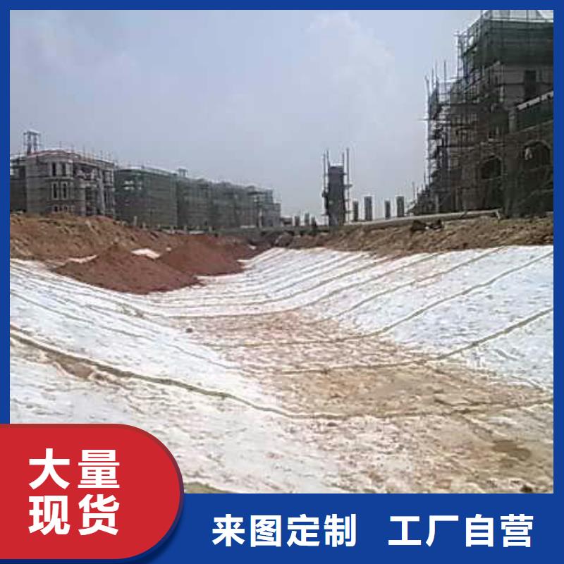GCL钠基膨润土防水毯厂家直供