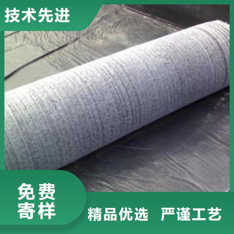 河道防水毯实力厂家/现货供应