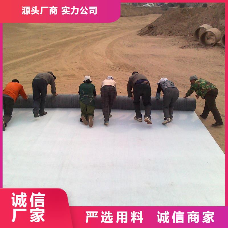 垃圾填埋防水毯生产基地