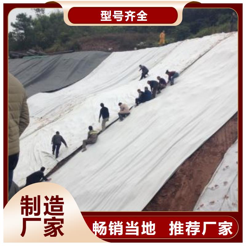膨润土防水毯报价