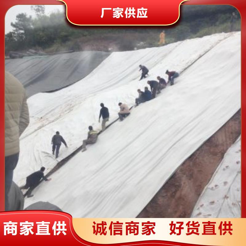 覆膜膨润土防水毯厂家直供