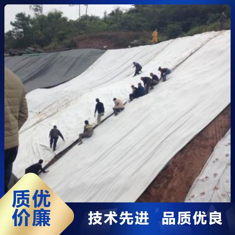 膨润土防水毯HDPE土工膜专业生产团队
