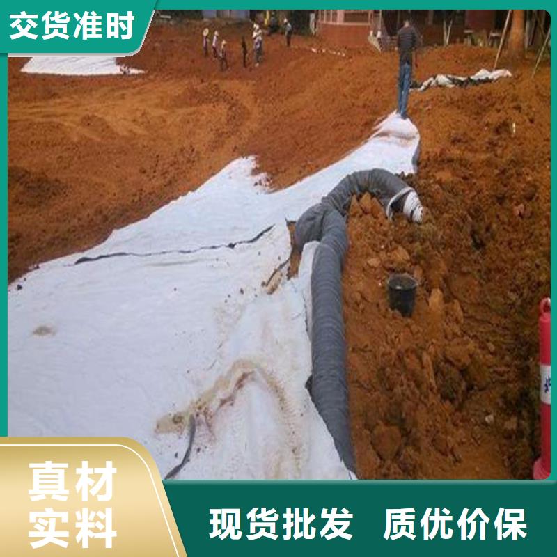 膨润土防水毯报价