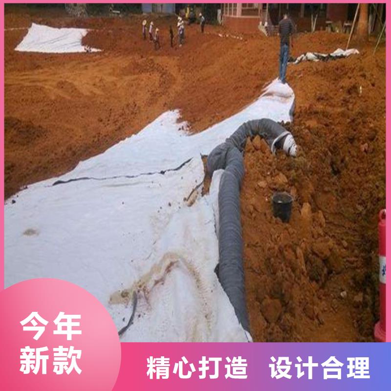 垃圾填埋用防水毯本年度报价