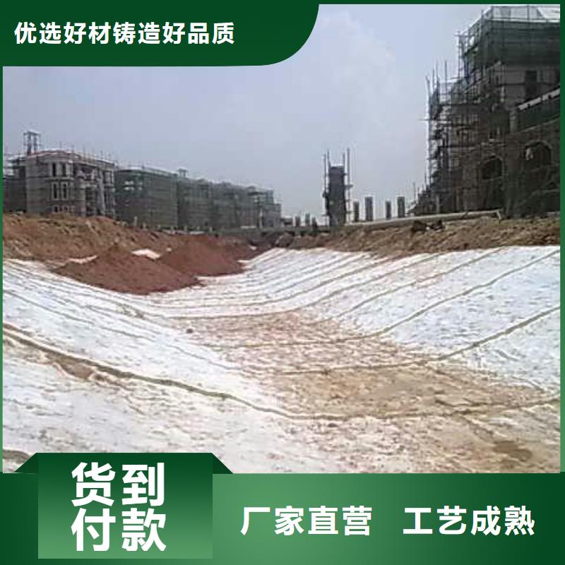 膨润土防水毯生产厂家哪家好