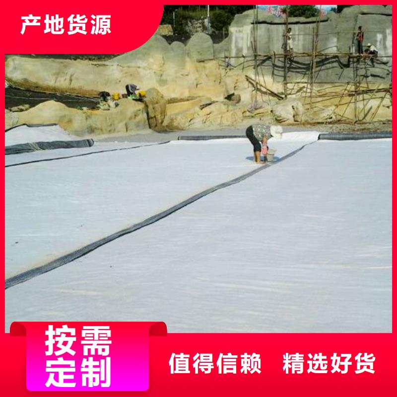 屯昌县垃圾填埋防水毯多少钱一平方？