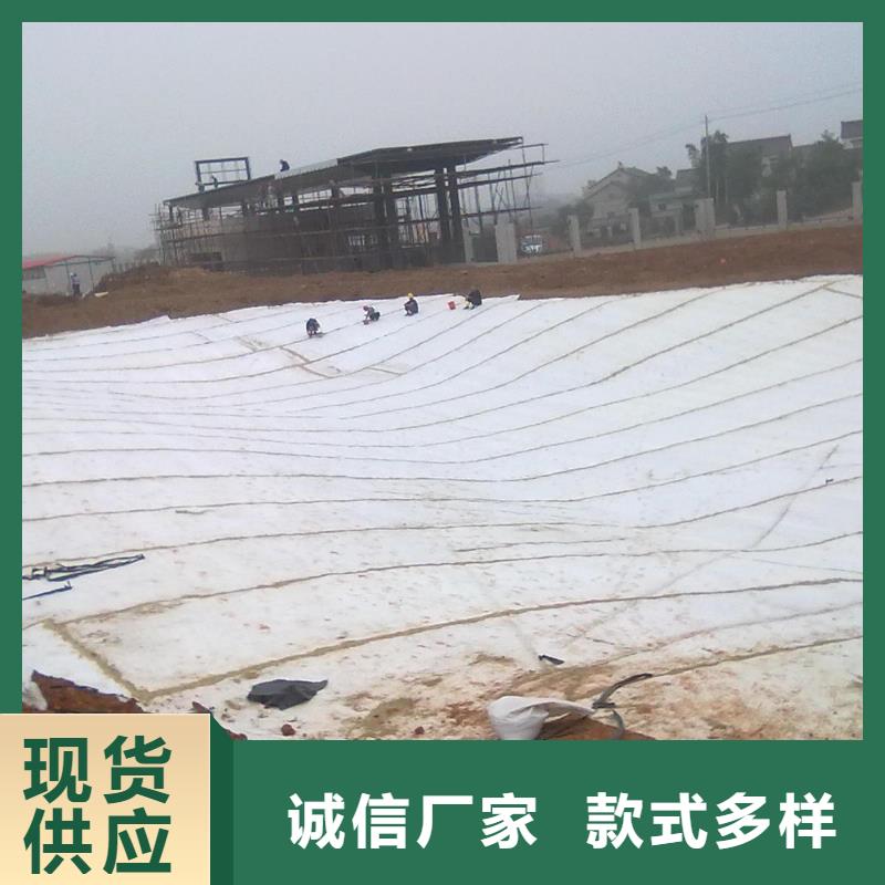 膨润土防水毯聚乙烯土工膜懂您所需