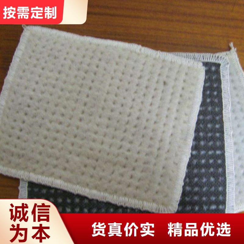 防渗膨润土防水毯厂家直供