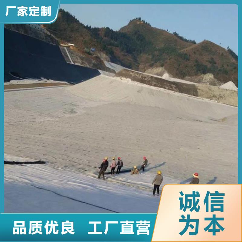 垃圾填埋防水毯生产基地