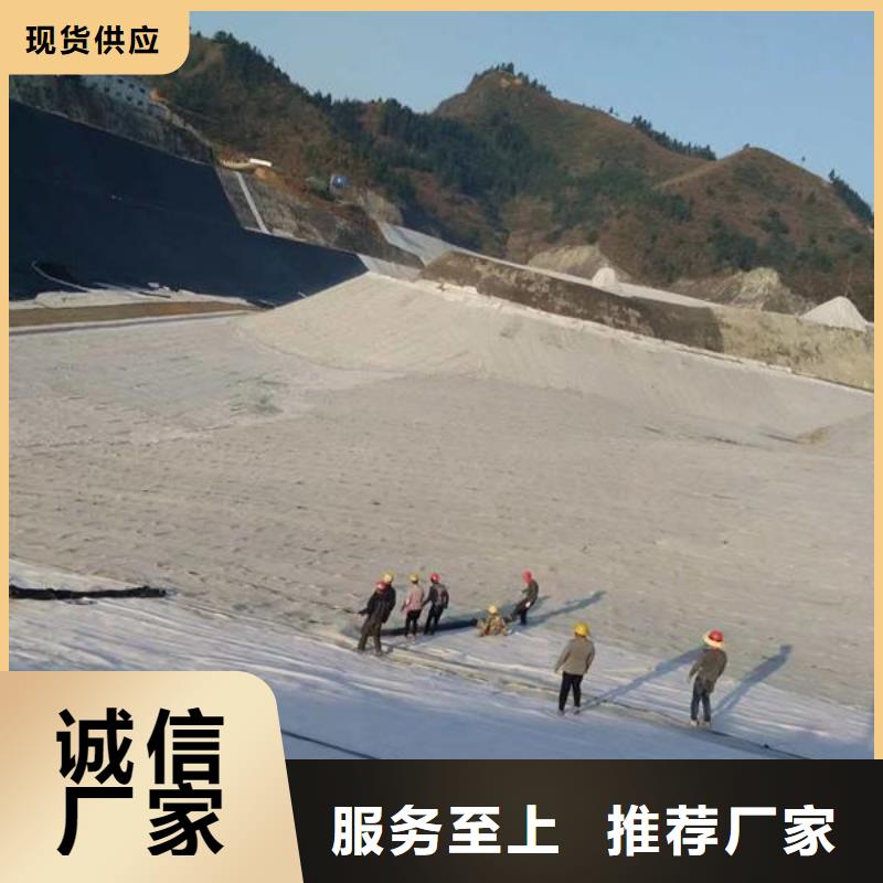 膨润土防水毯报价