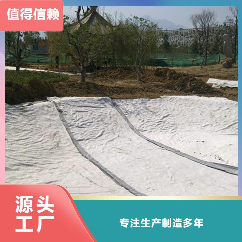 河道防水毯实力厂家/现货供应