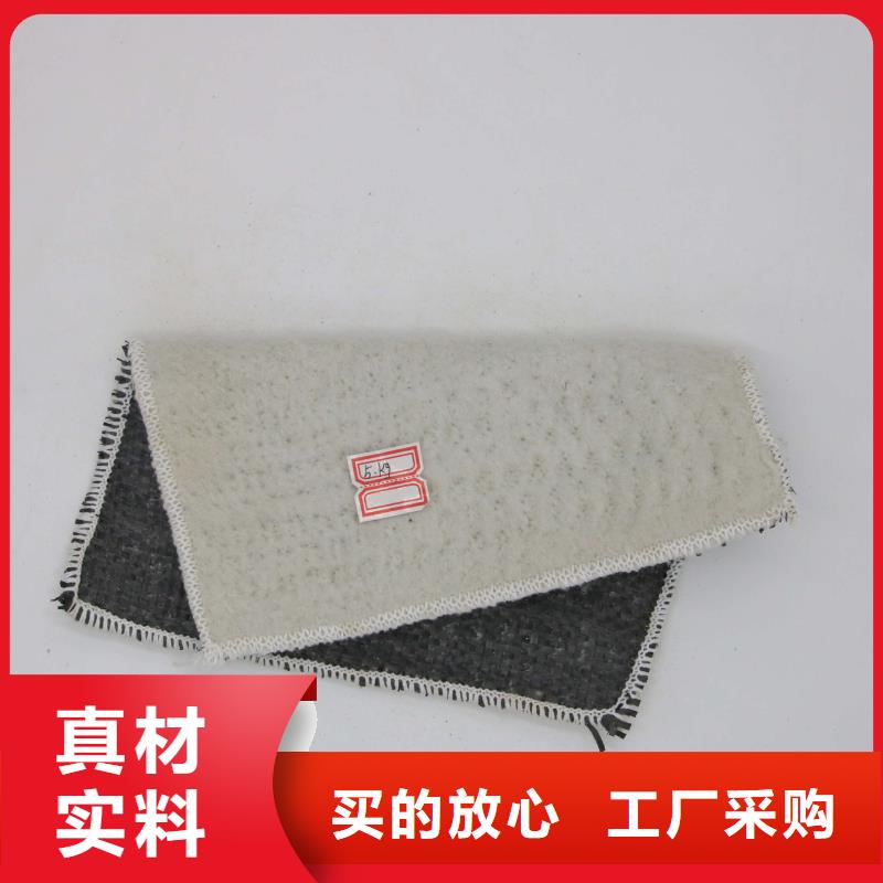 河道防水毯实力厂家/现货供应