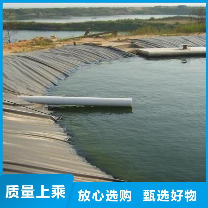 防渗土工膜2025报价