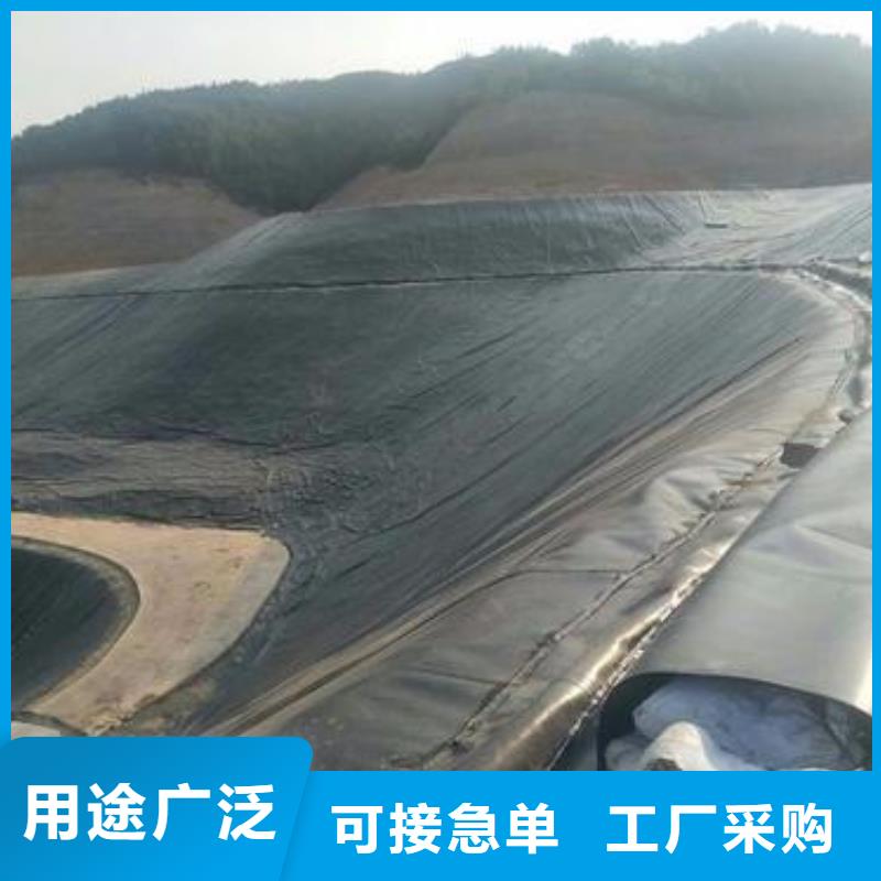 水库防渗膜实力厂家/现货供应